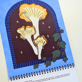 Wild Mushrooms 2026 Wall Calendar