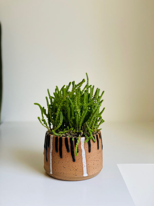 Planter