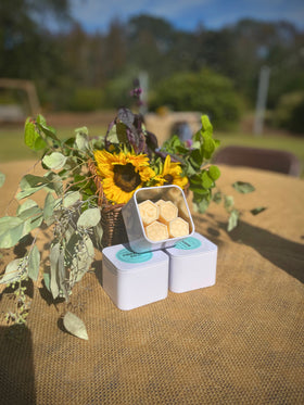 Honey Beeswax Melt | Natural Scented Beeswax & Coconut Wax Melt Tart | clean fresh