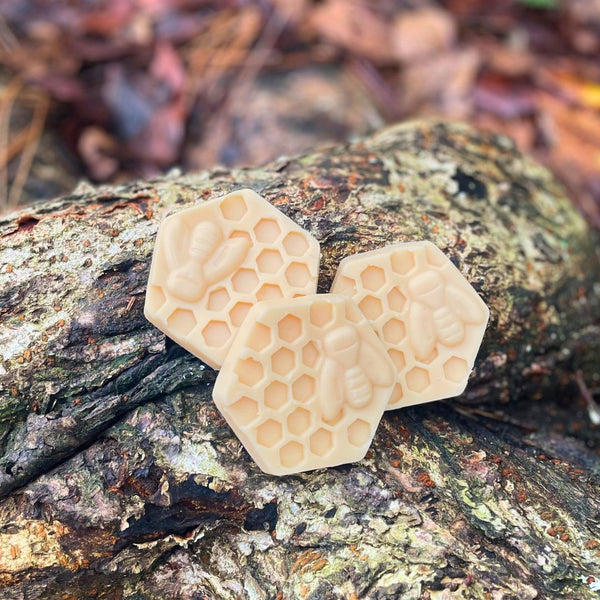 Honey Scented Beeswax Lotion Bar