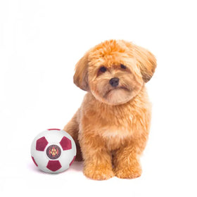 Atlanta Chewnited Dog Toy Soccer Ball