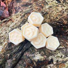 Pumpkin Spice Beeswax Melt | Beeswax & Coconut Wax Tart | fall scent