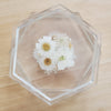 Floral Center Coaster Set