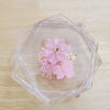 Floral Center Coaster Set